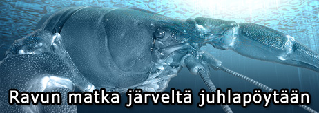 Ravun matka järveltä juhlapöytään
